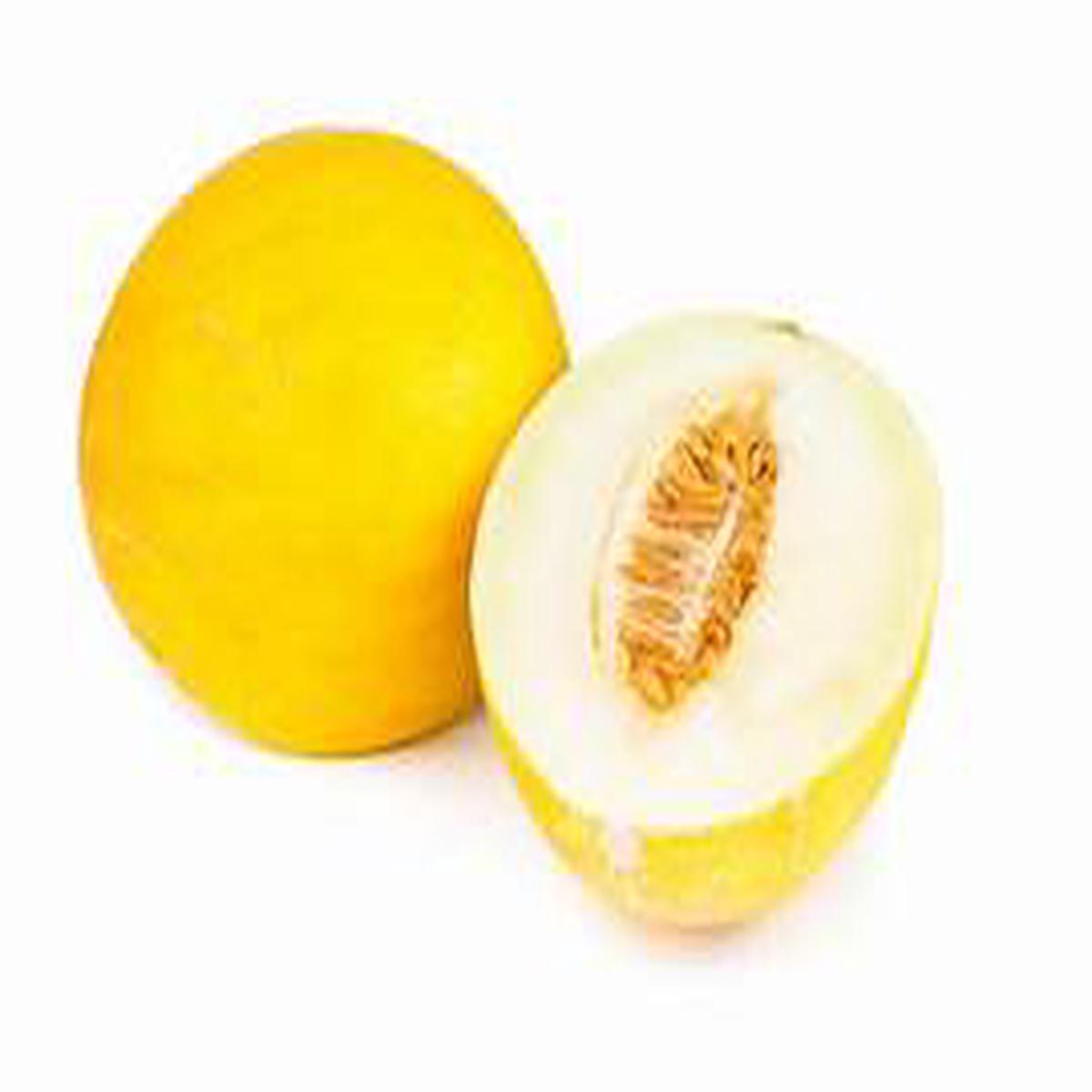 Yellow Melon Fruit Seeds for Planting  Heirloom & Non-GMO Garden seeds, juicy melons for fresh home harvest