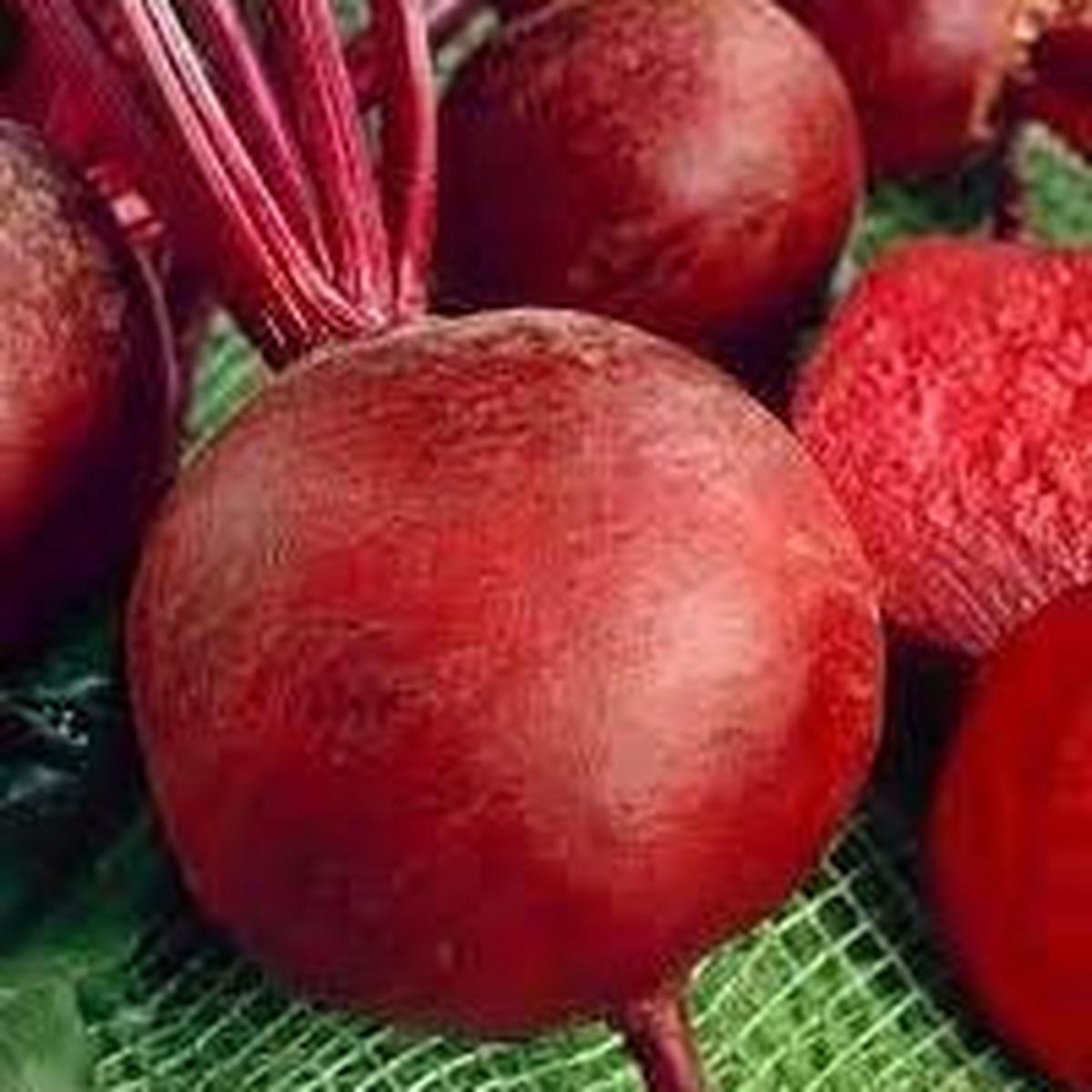 Beetroot vegetable seeds for planting - Heirloom & Non-GMO garden seeds, nutritious earthy roots