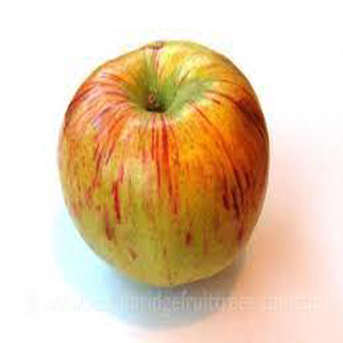 Bi-Color & Striped Apple fruit seeds for planting Heirloom & Non-GMO classic garden seeds