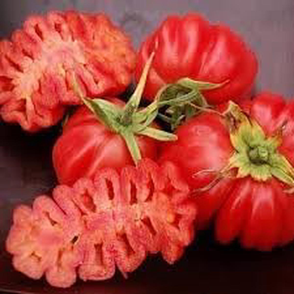 Zapotec Tomato Seeds for Planting  Heirloom, Non-GMO, High Germination Organic Garden Seeds