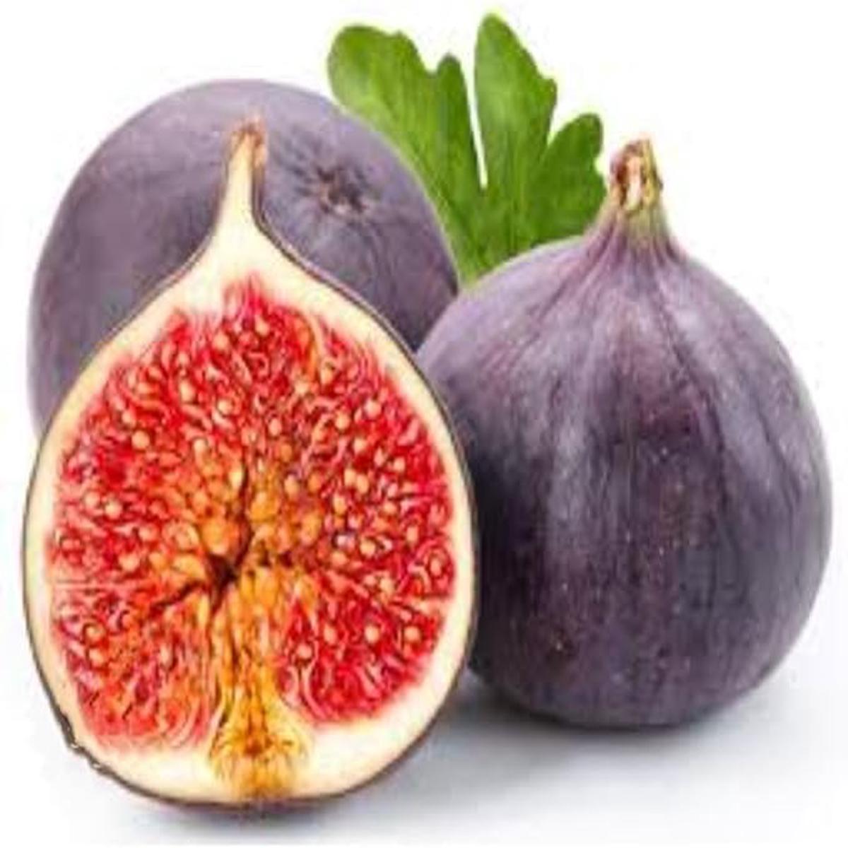 Black Fig Tree Seeds for Planting Heirloom, Non-GMO for Sweet Mediterranean Garden Shrubs 100 pcs
