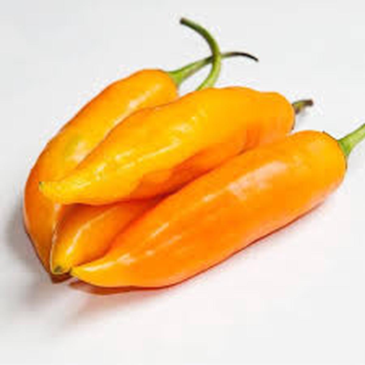 Aji Amarillo flower seeds for planting - Heirloom & Non-GMO Garden Seeds