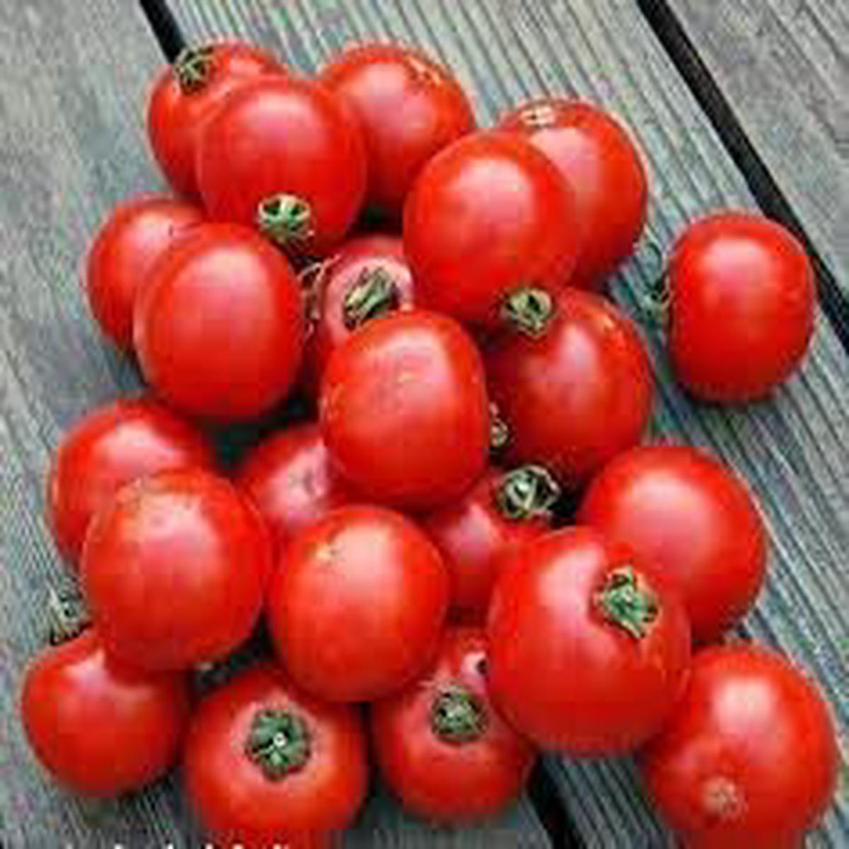 Arctic Plenty fruit seeds for planting - Heirloom & Non-GMO Garden seeds