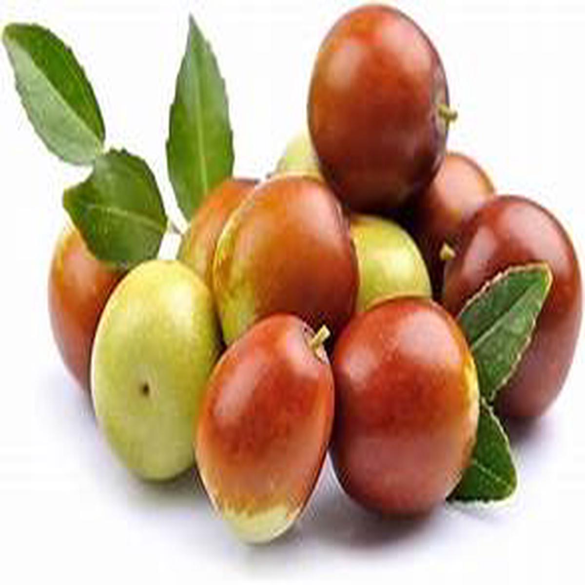 Ziziphus Mucronata Jujuba fruit seeds for planting - Heirloom & Non-GMO Garden seeds, thorny trees with sweet fruits