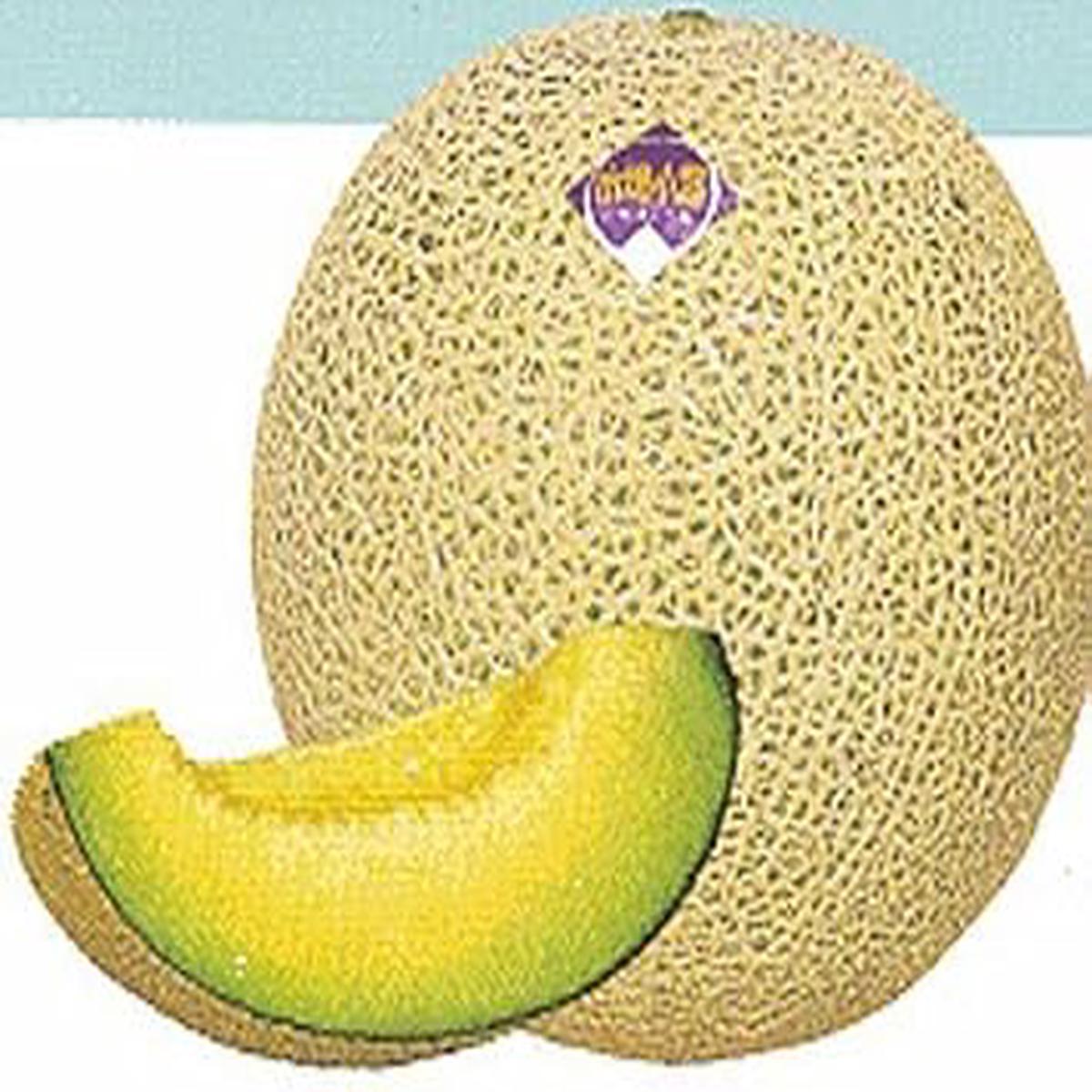 Yellow Ichiba Kouji Fruit Seeds for Planting  Heirloom & Non-GMO Garden seeds, exotic sweet fruits for backyard gardens