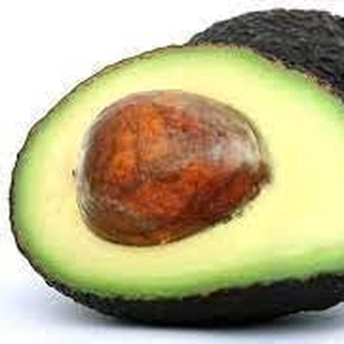 Avocado fruit seeds for planting - Heirloom & Non-GMO Garden seeds, creamy fruit trees for home growing