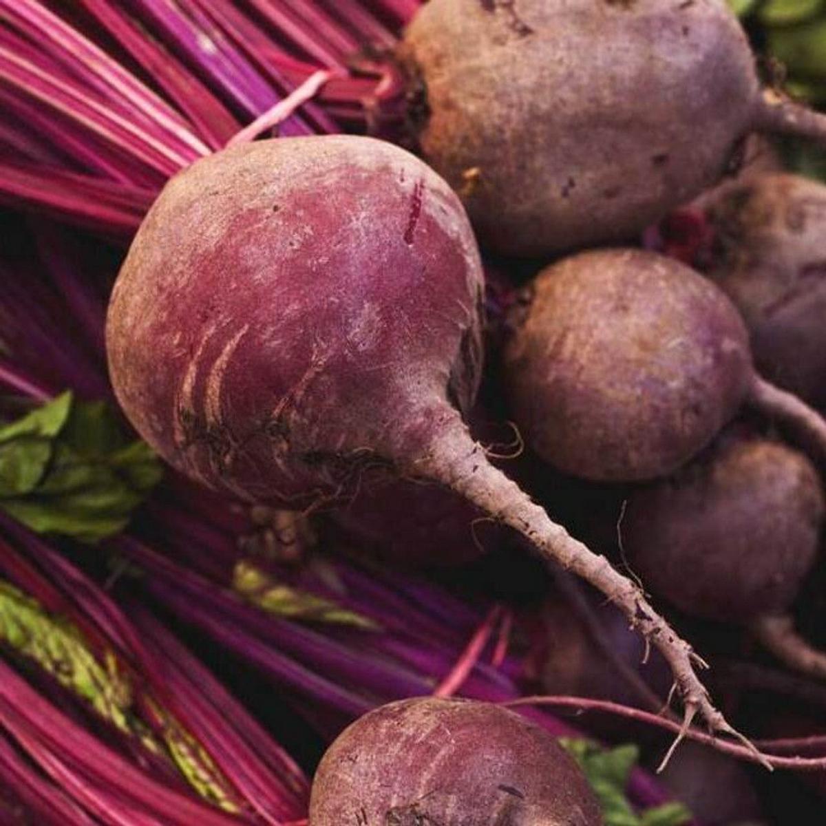 Beetroot Fruit Seeds for Growing Nutrient-Rich and Earthy Beetroots