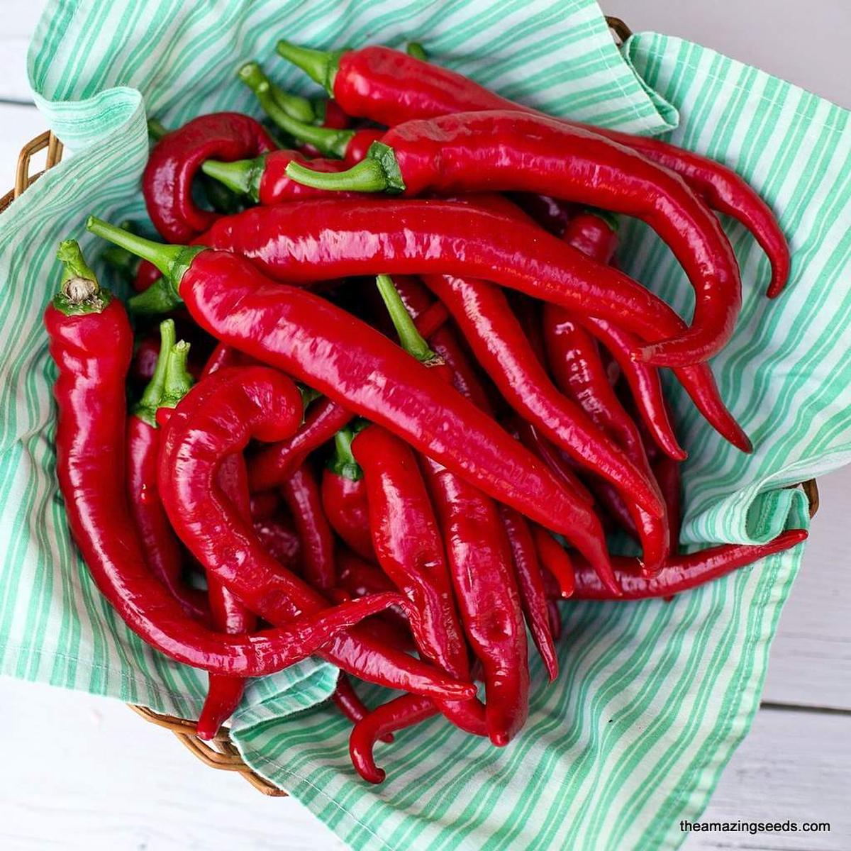 Long Red Slim Cayenne Pepper Seeds for Hot, Slim Peppers
