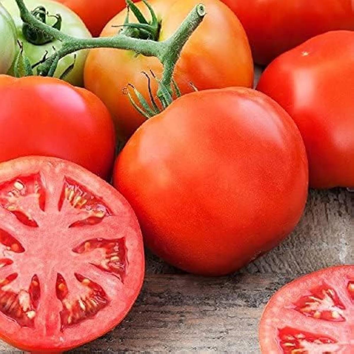 Tomato Solanum lycopersicum Seeds for Planting urban garden home garden