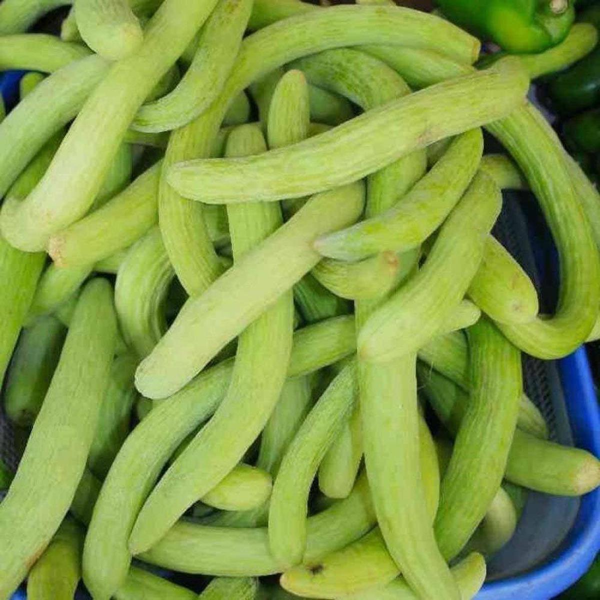 All Kinds of Melons Cucumber Japanese Long Cucumber Cucumis sativus Seeds for Vegetable Patch