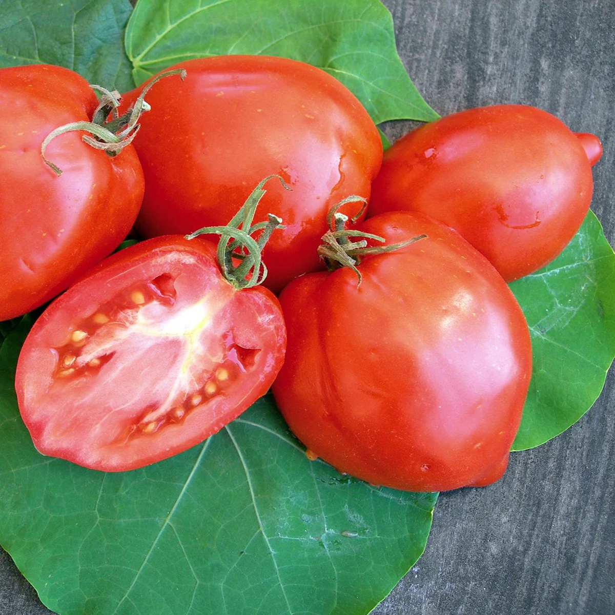 Amish Paste Heirloom Tomato Solanum lycopersicum Vegetable Seeds for Planting in Garden