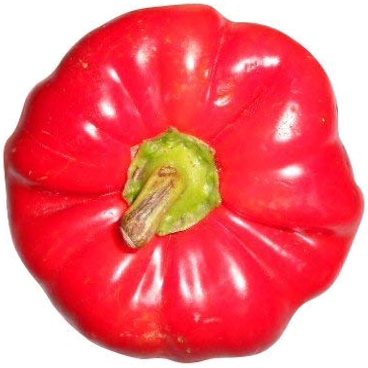 Giant Sweet Pepper Capsicum Annuum Seeds for Planting Home Garden Container
