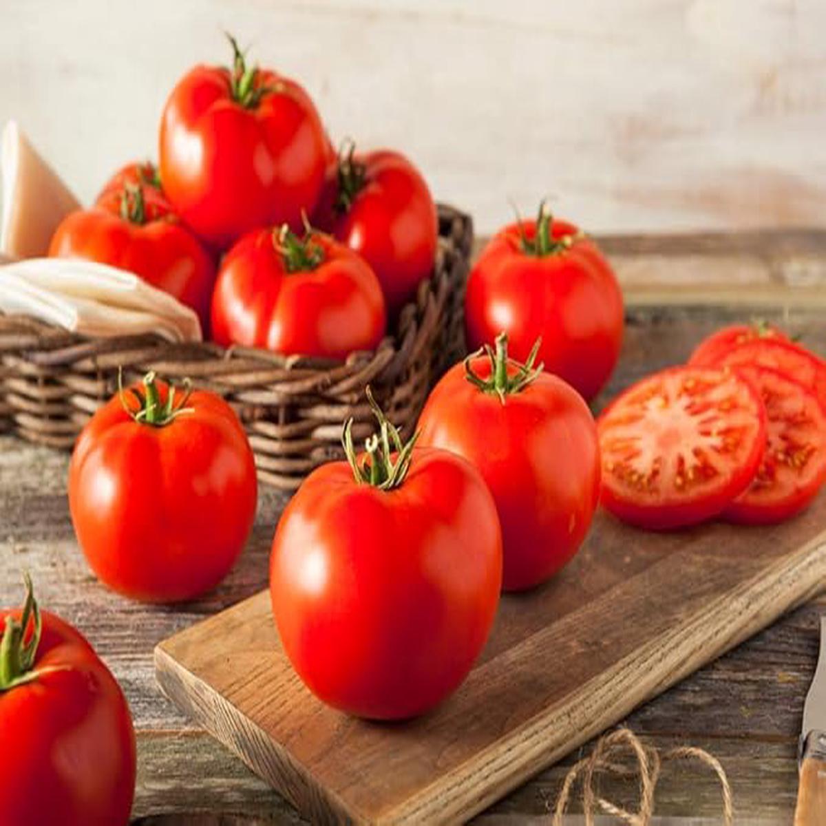 Tomato Solanum lycopersicum Seeds for Planting for Vegetable Patch and Home Garden