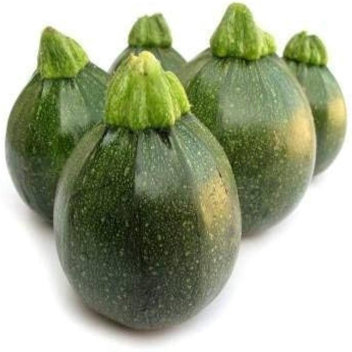 Summer Squash Pumpkin Seeds for Planting