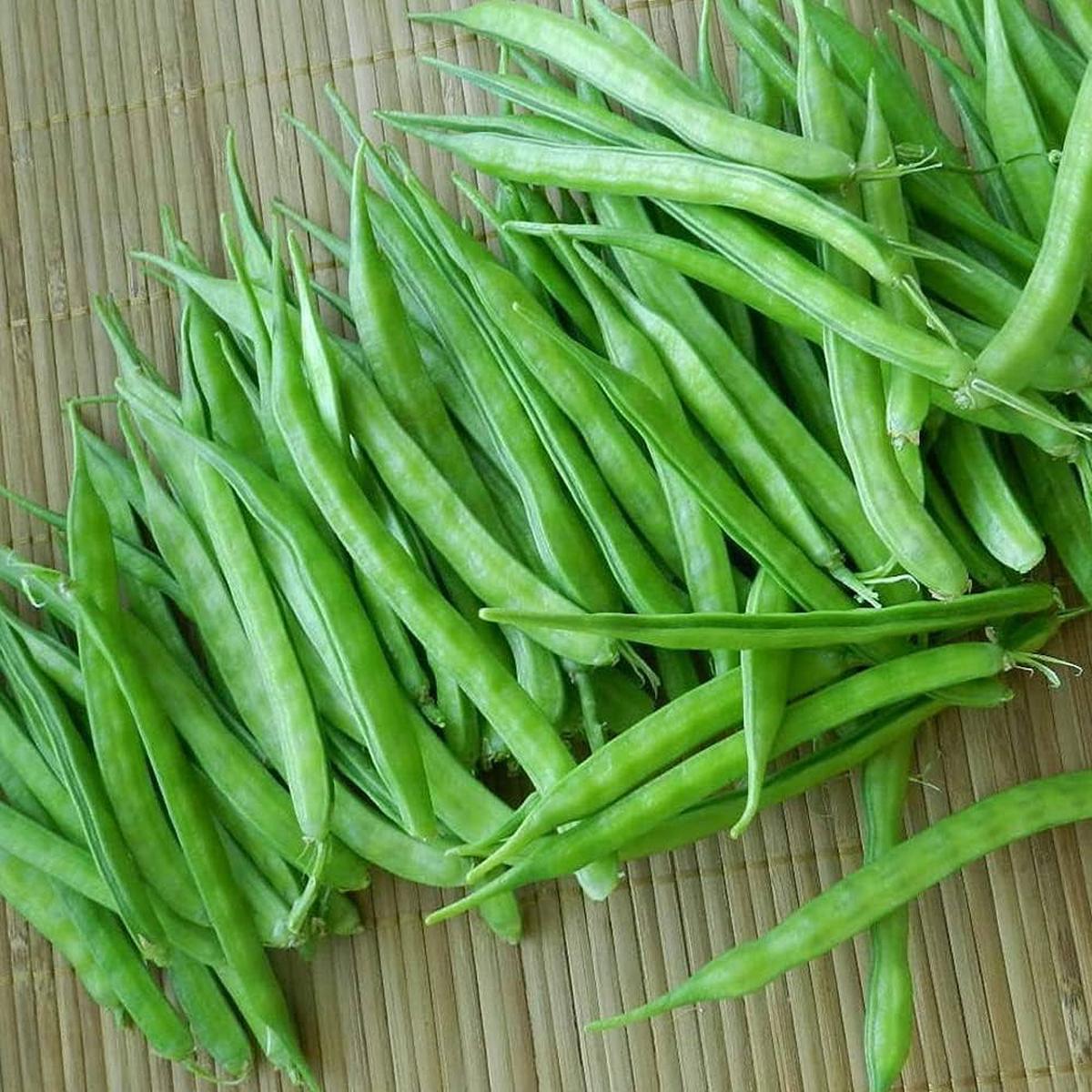 Cluster Bean Seeds for Planting Cyamopsis tetragonoloba for vegetable patches and home gardens