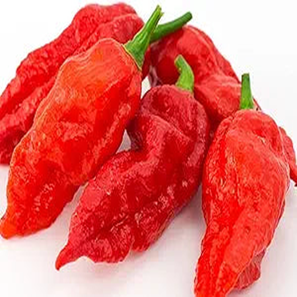 Bhut Ghost Pepper Seeds for Extreme Hot Peppers