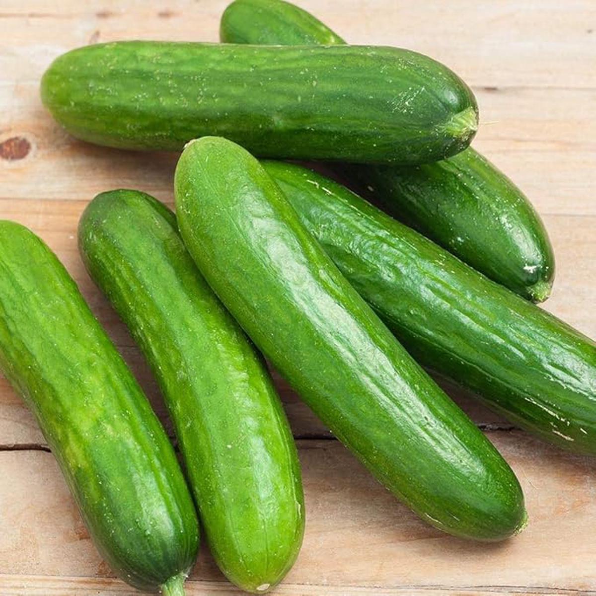 Cucumber Vegetable Seeds for Planting