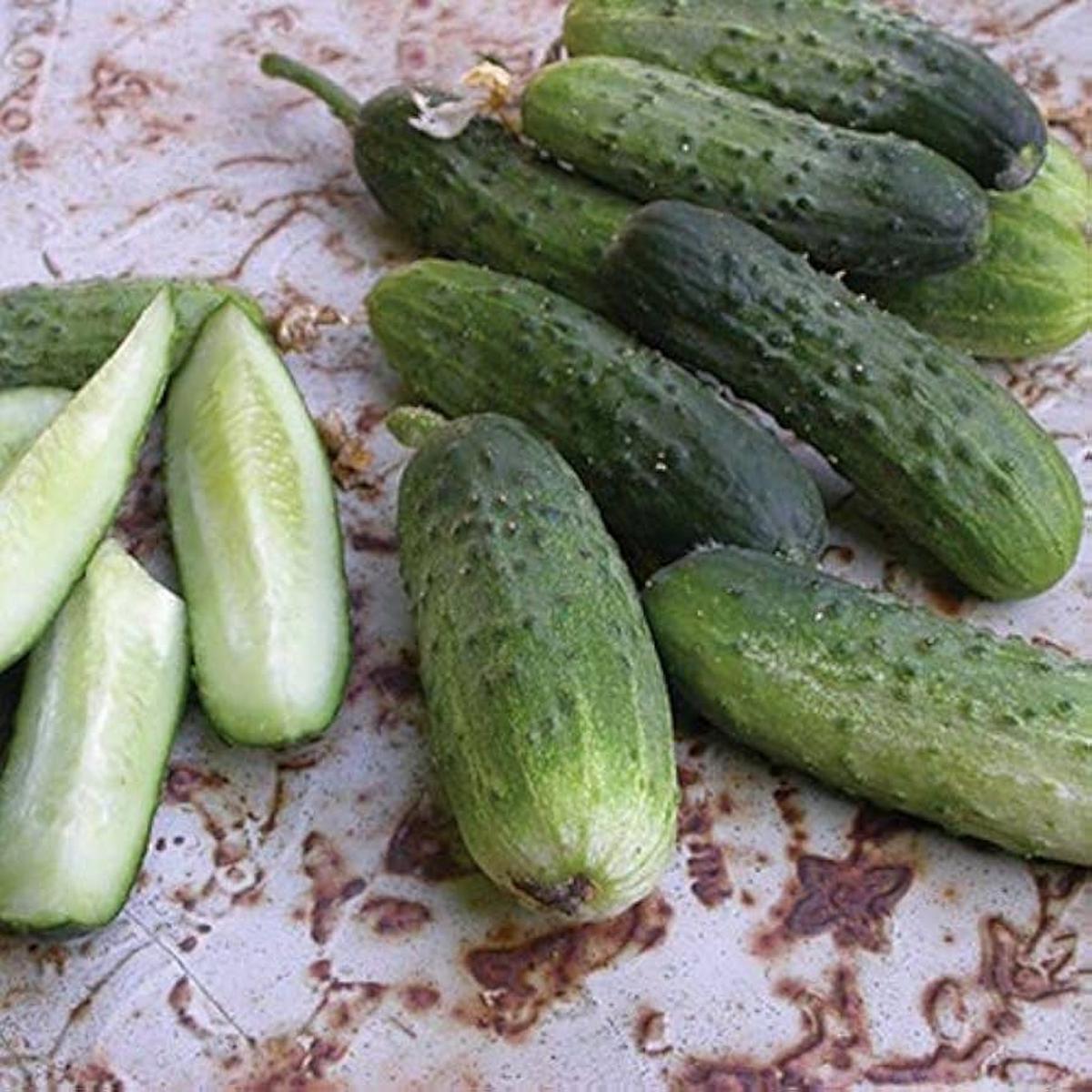 Alibi Cucumber Seeds | Crisp Early Pickling Cucumbers  Heirloom, Non-GMO, High Germination Organic Garden Seeds