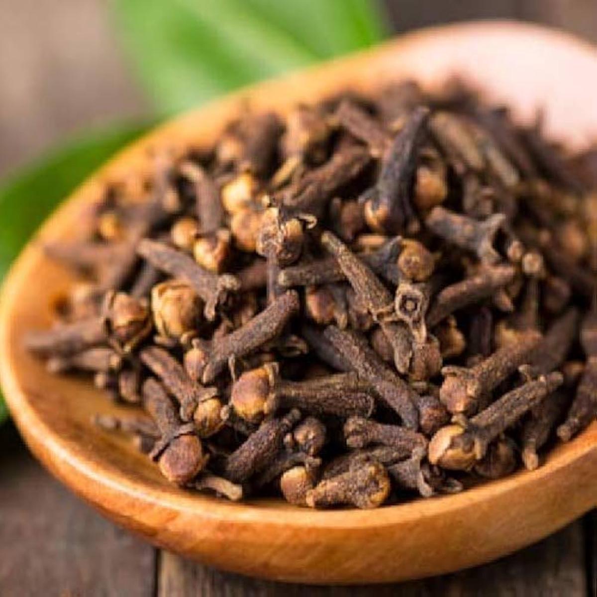 Clove Syzygium Aromaticum Seeds for Planting - Great for Herb Garden & Home Garden