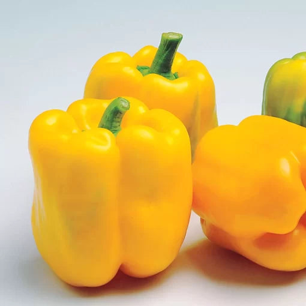 Admiral Hybrid Pepper Seeds | Large Yellow Sweet Bell Peppers  Heirloom, Non-GMO, High Germination Organic Garden Seeds
