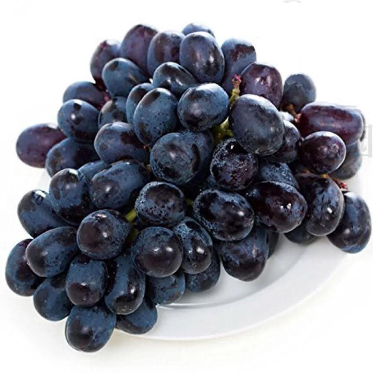 Black Brazilian or Jaboticaba Grape Fruit Seeds for Planting - High-Quality Grapes Seeds