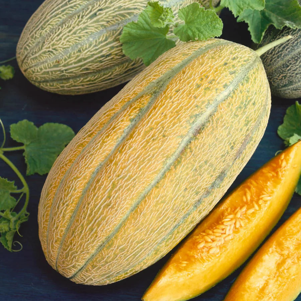 Banana Cantaloupe Seeds for Planting - Plant for a Unique and Sweet Fruit Harvest