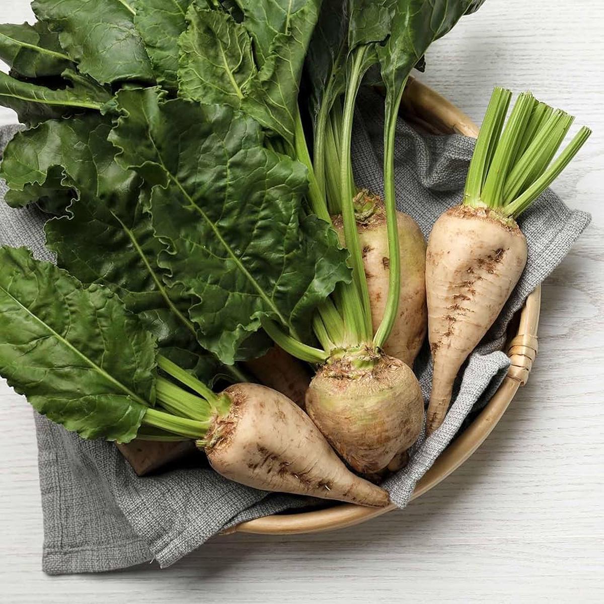 Sugar Beet Garden Beet Seeds for Planting for Vegetable Patch