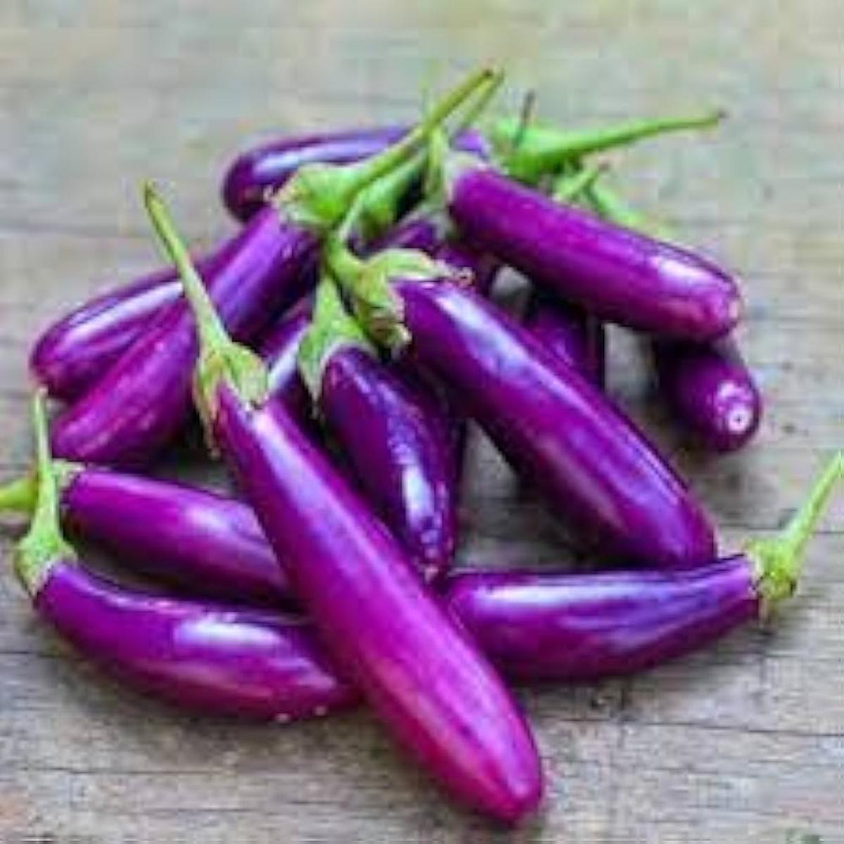 Eggplant Vegetable Seeds (Purple)  Fresh Seeds for Planting Purple Eggplants