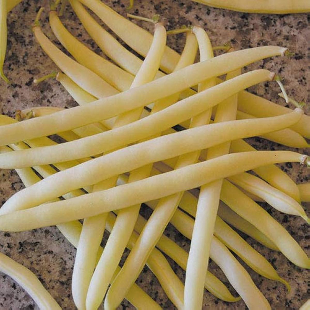 Golden Wax Bean Seeds for Planting vegetable patch